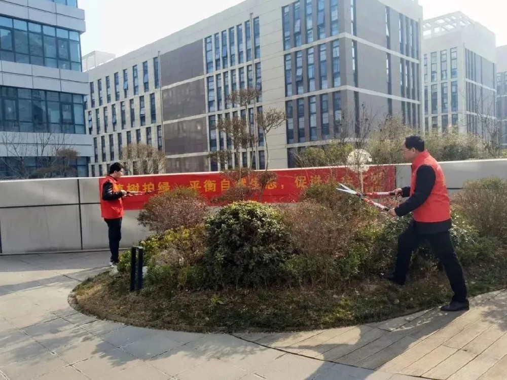 【精神文明建設(shè)】愛綠護綠筑希望│鄭投產(chǎn)業(yè)園公司組織開展樹木養(yǎng)護志愿活動