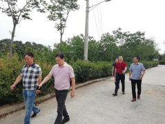 【鄭投產(chǎn)業(yè)園要聞】約克動漫一行赴虎牢關實地參觀，推進公司文創(chuàng)板塊發(fā)展